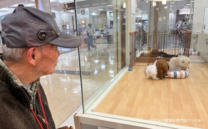 介護旅行_福岡県糸島_イオンモールでお買い物2