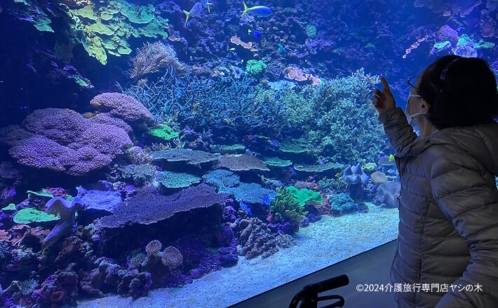 介護旅行_大分県別府_大分マリーンパレス水族館うみたまご1