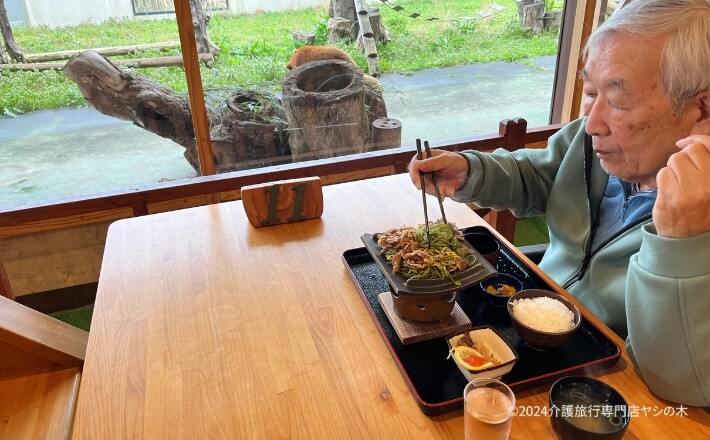 介護旅行_山口県秋吉台サファリランド3