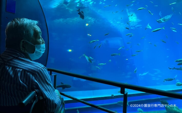 介護旅行_茨城県茨城アクアワールド大洗水族館2