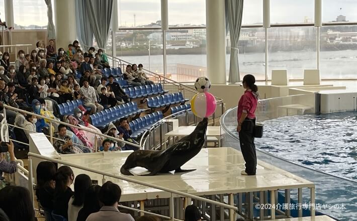 介護旅行_茨城県茨城アクアワールド大洗水族館4