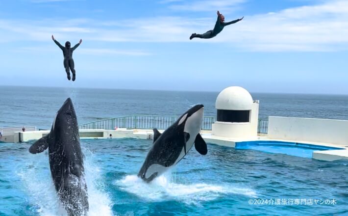 介護旅行_千葉県鴨川シーワールド9