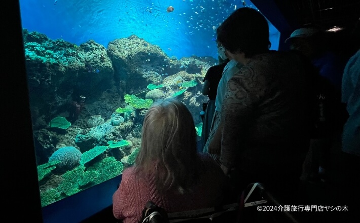 クルーズ船で介護旅行_大洗水族館