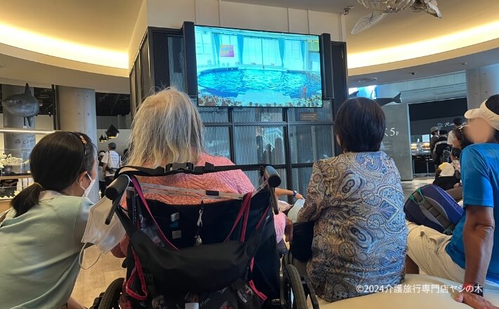 クルーズ船で介護旅行_大洗水族館