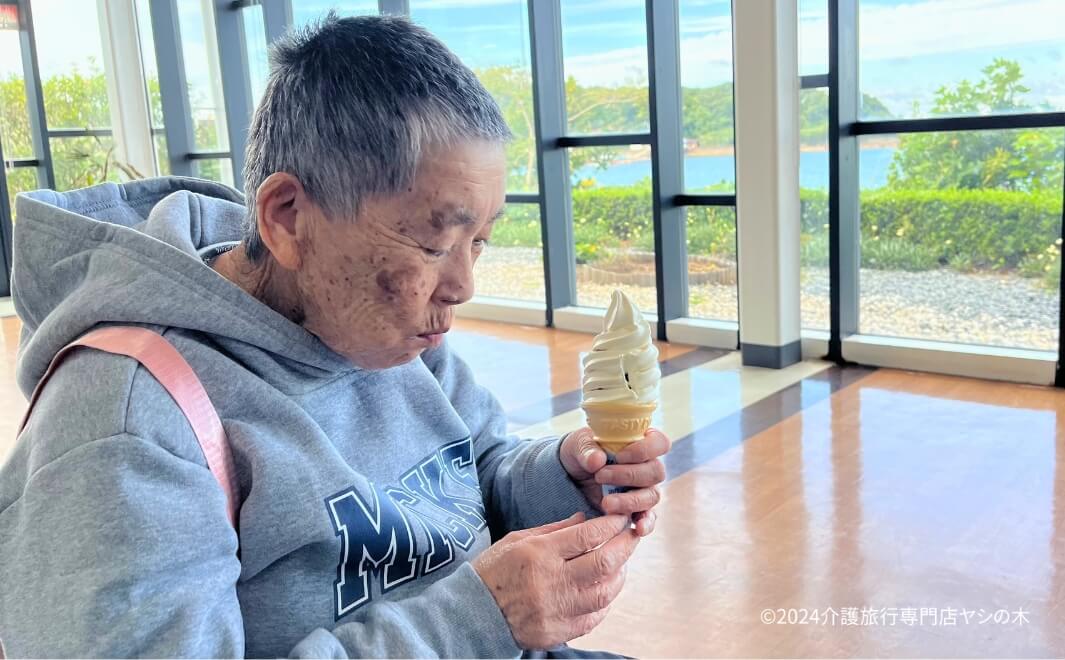 介護旅行で和歌山県へ_海鮮せんべい南紀