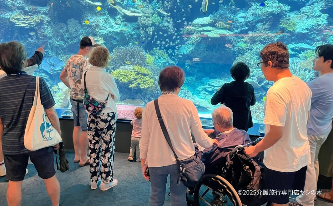介護旅行で沖縄県へ_美ら海水族館を散策
