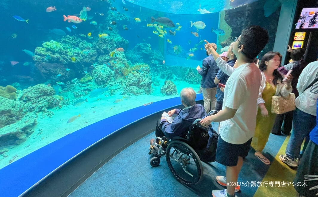 介護旅行で沖縄県へ_美ら海水族館を散策