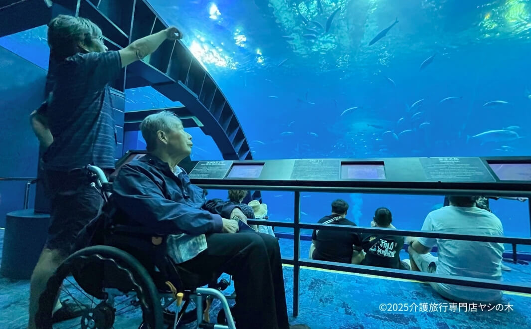 介護旅行で沖縄県へ_美ら海水族館を散策