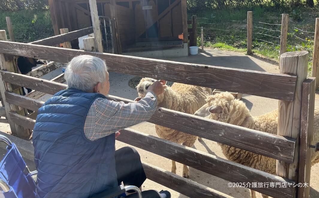 介護旅行で群馬県へ_グリーン牧場を散策