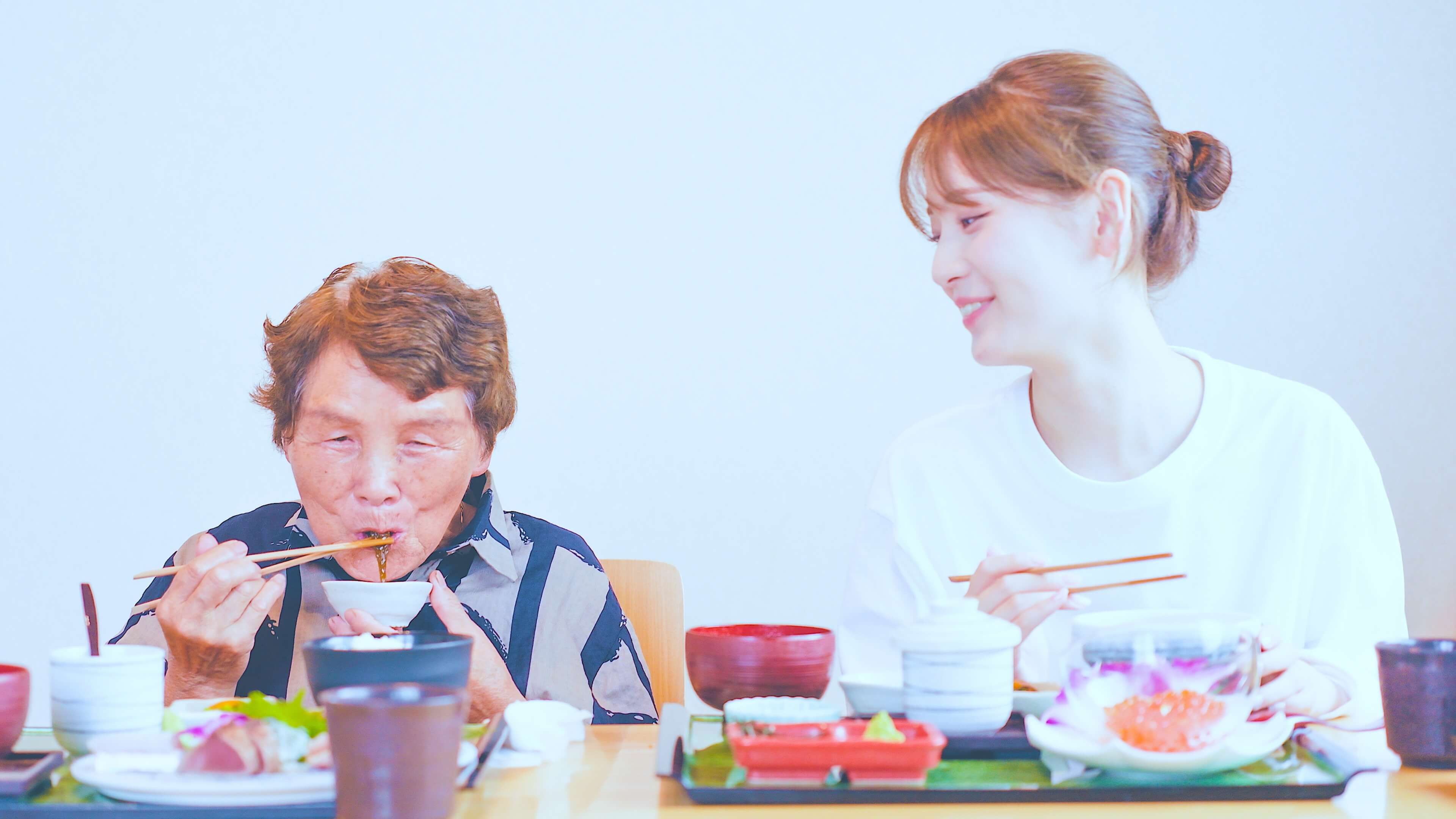 Caregiver travel support services and pricing for wheelchair users and seniors in Japan