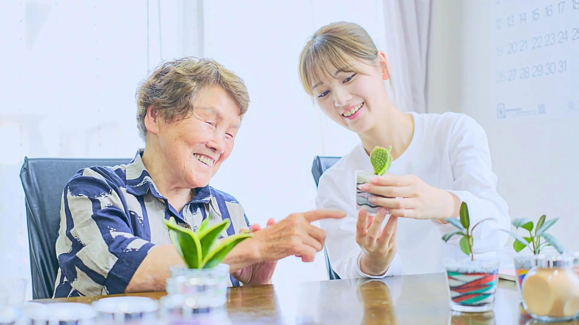 Travel support for seniors and families visiting Japan
