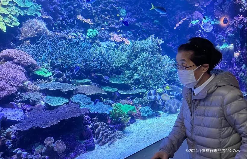 認知症の方が安心して旅行を楽しむ介護旅行サポートの様子